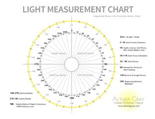 Laminated Bovis Scale